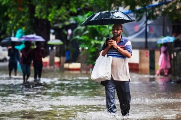রাজস্থানের ১০ টি জেলায় হালকা থেকে মাঝারি বৃষ্টিপাতের সম্ভাবনা রাজস্থানের ১০ টি জেলায় হালকা থেকে মাঝারি বৃষ্টিপাতের সম্ভাবনা