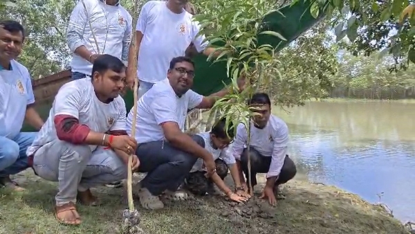 বৃক্ষ রোপন বৃক্ষ রোপন