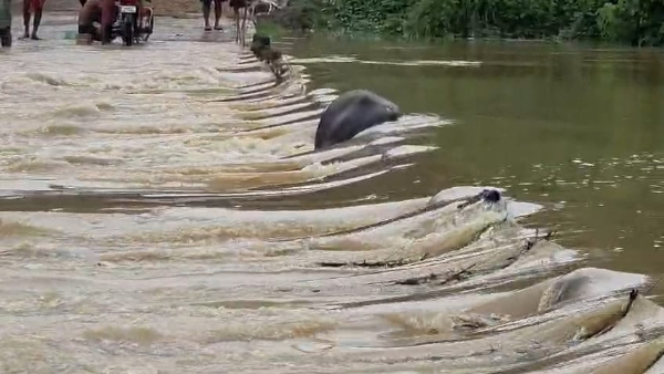 টানা এক দিনের ভারী বৃষ্টিতে ঝাড়গ্রাম জেলার বিভিন্ন নদীর জলস্তর দ্রুত বেড়ে গিয়েছে