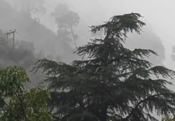 টানা বৃষ্টিতে জম্মু ও কাশ্মীরের স্বাভাবিক জনজীবন বিপর্যস্ত, বাড়ছে ধসের ঘটনা