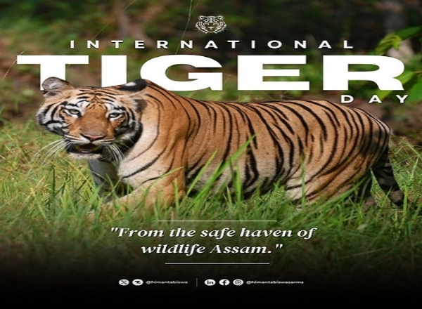 এক্স-এ মুখ্যমন্ত্রীর পোস্ট করা ছবি