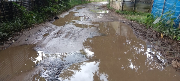 বেহাল অবস্থা রাস্তার