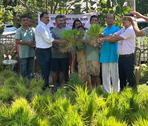 কৃষকদের মধ্যে ধানের চারা বিতরণ ভারতীয় কিষাণ সংঘের যোরহাট জেলা শাখার কার্যকর্তাদের