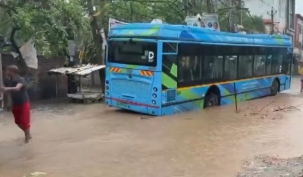 উপড়ে পড়ল গাছ, মুষলধারে বৃষ্টিতে জলমগ্ন হয়ে পড়ল দিল্লি