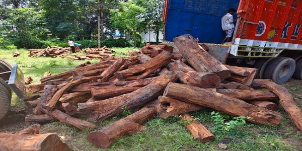 ছত্তিশগড়ে কাঠবোঝাই ট্রাক আটক, পলাতক চালক