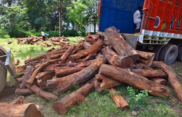 ছত্তীসগঢ়ের কাঠবোঝাই ট্রাক আটক, পলাতক চালক