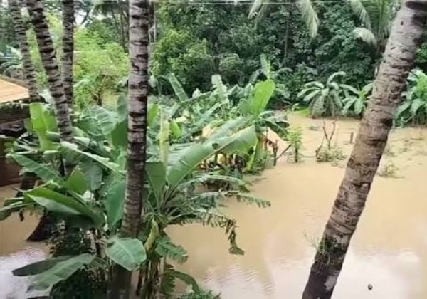 উদ্বেগজনক ময়ূরভঞ্জের বন্যা পরিস্থিতি, জলের তলায় কৃষি জমি