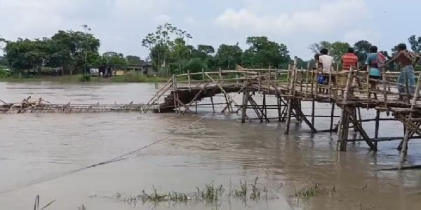 ডিভিসির ছাড়া জলের তোড়ে ভেসে গেল কুলিয়ার বাঁশের সেতু, বিচ্ছিন্ন যাতায়াত
