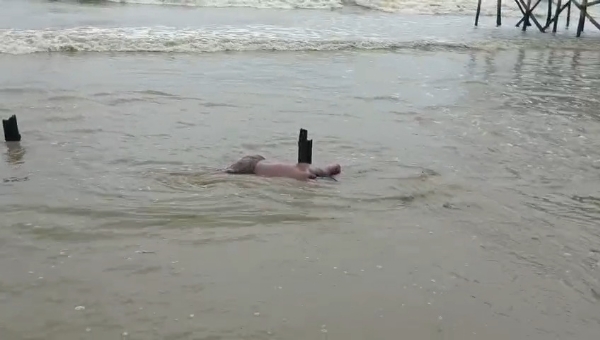জলে তলিয়ে মৃত্যু