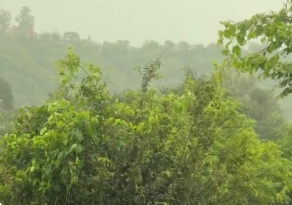 ভারী বৃষ্টি জম্মু ও কাশ্মীরের বিভিন্ন জেলায়, জারি সতর্কতা
