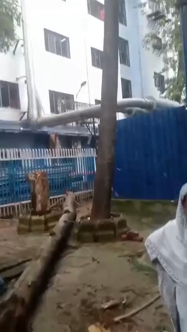 গাছ ভেঙে বিপত্তি