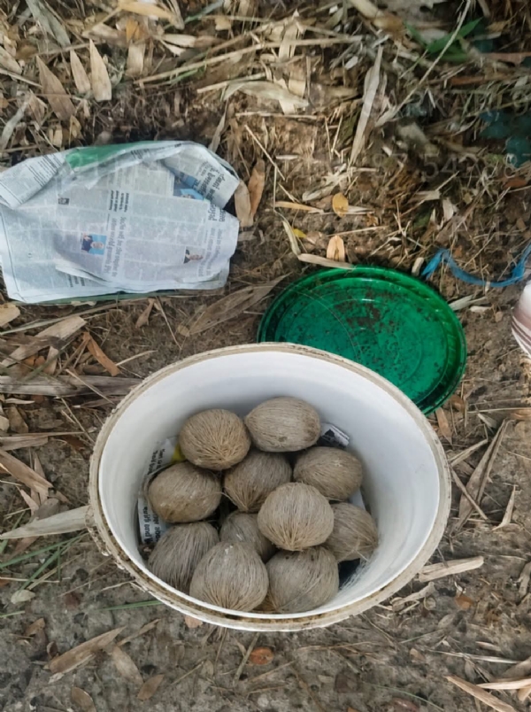 বোমা উদ্ধার বোমা উদ্ধার
