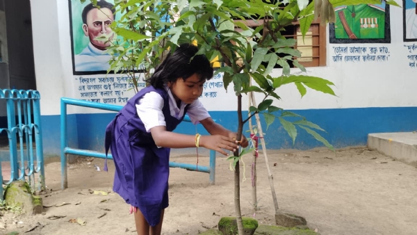 গাছকে রাখী রাখি পরিয়ে প্রকৃতির সঙ্গে আত্মিক বন্ধন