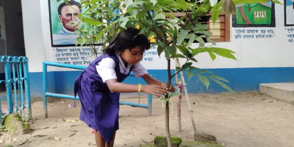 গাছকে রাখী পরিয়ে প্রকৃতির সঙ্গে আত্মিক বন্ধনের বার্তা খুদে পড়ুয়াদের
