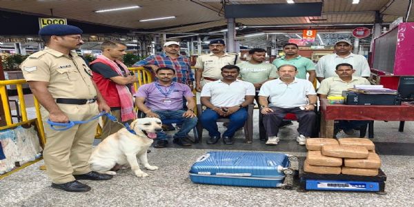 হাওড়া স্টেশনে স্নিফার ডগের সহায়তায় ২২.৬৪ কেজি গাঁজা উদ্ধার, আরপিএফের হাতে গ্রেফতার ১