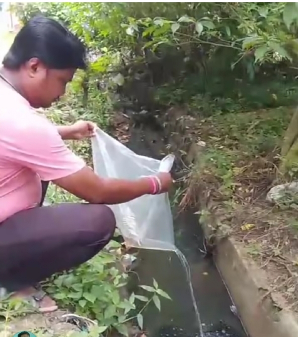 কামারপুকুর এর ড্রেনে গাপ্পি মাছ ছাড়ছেন এক ভি আর পি কর্মী