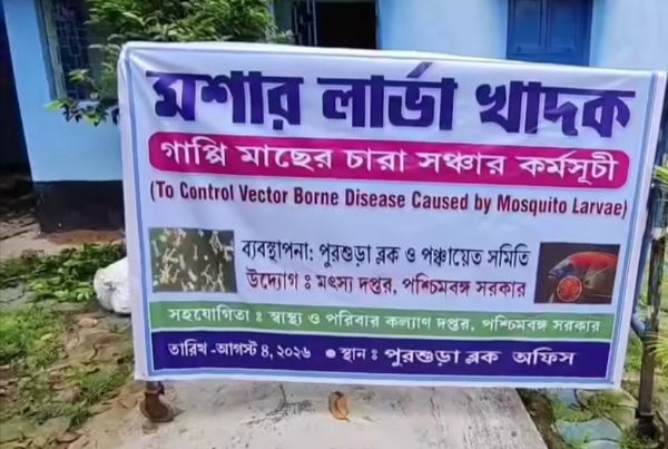 পুড়শুড়া ব্লকের উদ্যোগে মশা নিয়ন্ত্রণে গাপ্পি মাছ
