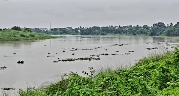 জলসীমা বাড়ছে দ্বারকেশ্বরে