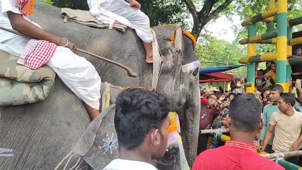 হাতির পুজো