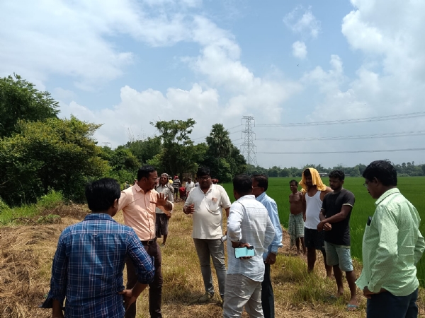 ধনিয়াখালি তে বৃক্ষরোপণ কর্মসূচি