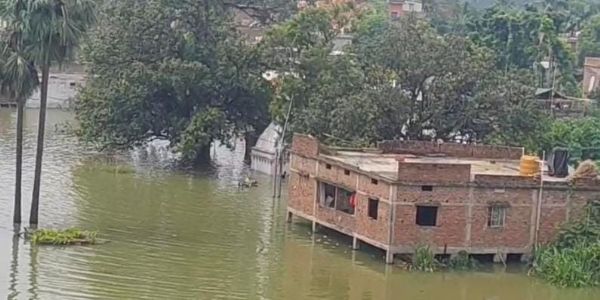 গঙ্গা-কোসির জল কমায় নাভগাছিয়ায় স্বস্তি, বাঁধে বাড়ছে চাপ