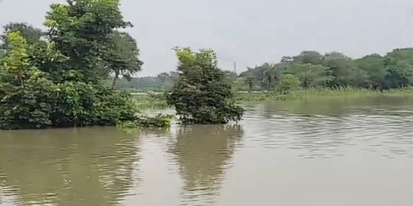 ওড়িশার ভদ্রকে তীব্র বন্যা পরিস্থিতি, প্লাবিত বহু গ্রাম