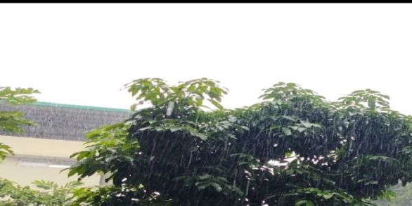 উত্তরাখণ্ডের ৯ জেলায় ভারী বৃষ্টির সতর্কতা